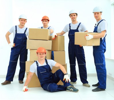 Careful wrapping and labelling of boxes for a Bayswater move